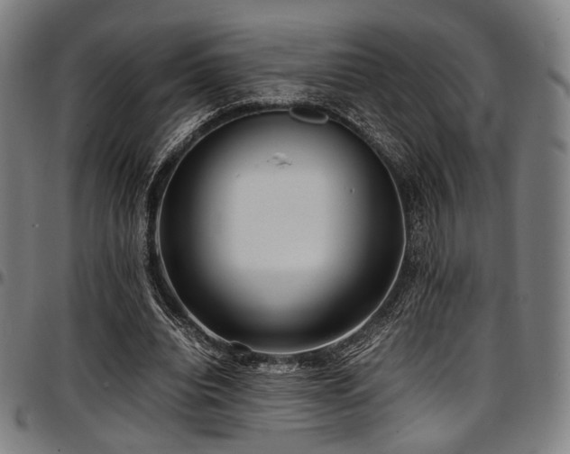 X0000097600440200802291247