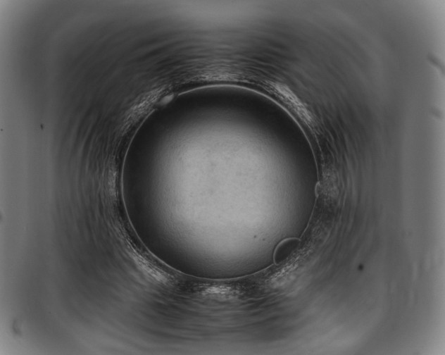 X0000097600441200802291247
