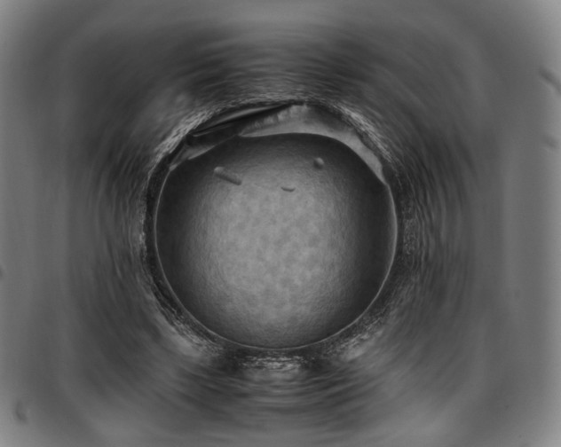 X0000097600443200802291247