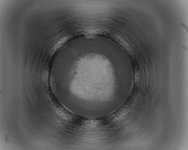 X0000097600444200802291247