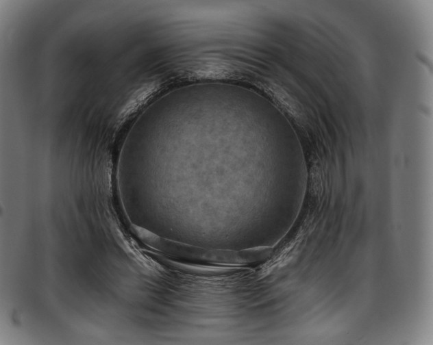 X0000097600446200802291247
