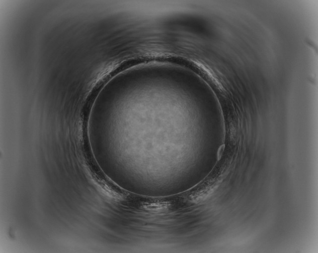 X0000097600447200802291247