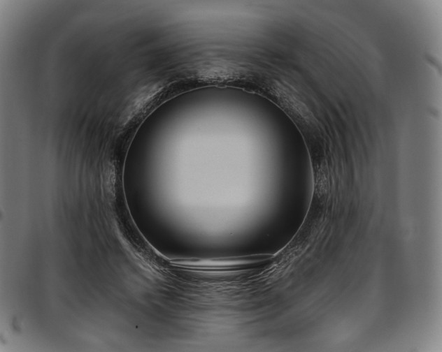 X0000097600448200802291247