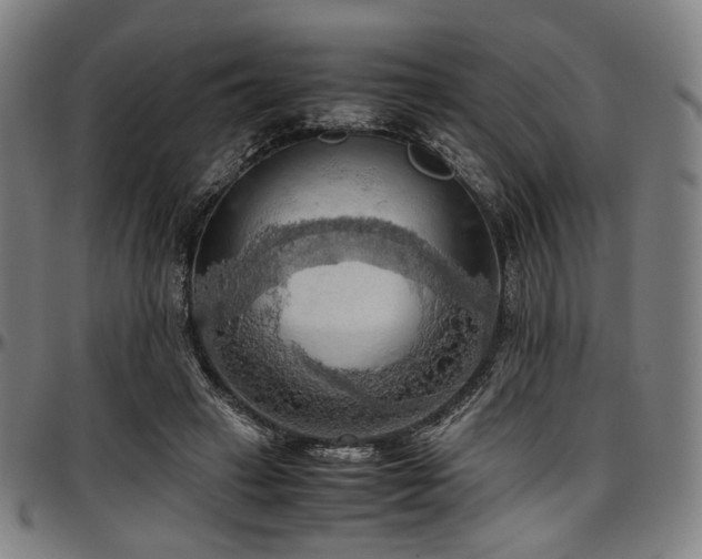 X0000097600449200802291247