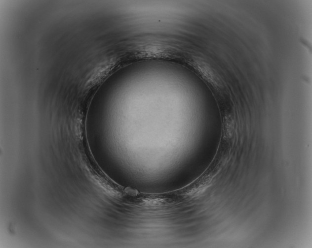 X0000097600450200802291247