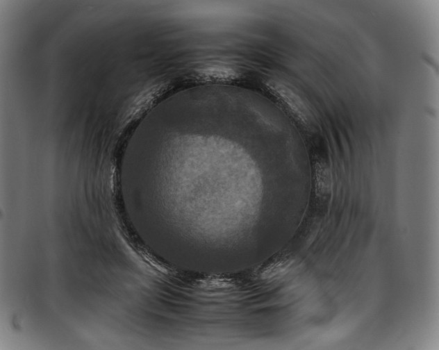 X0000097600451200802291247
