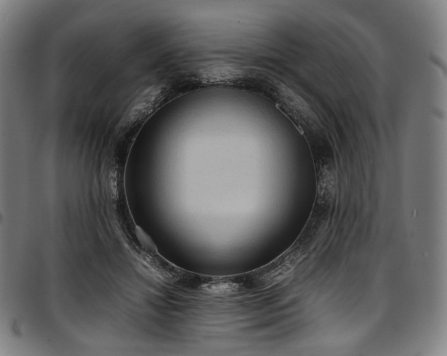 X0000097600452200802291247