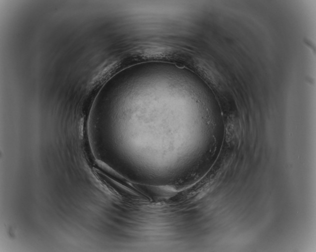 X0000097600454200802291247
