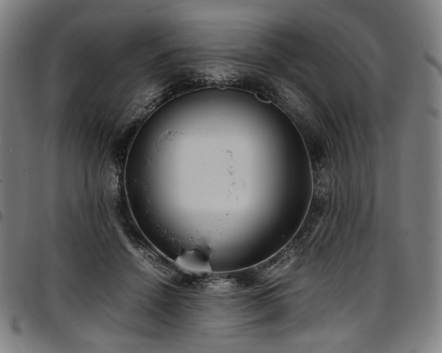 X0000097600456200802291247