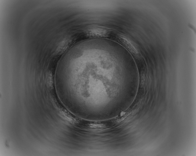 X0000097600457200802291247