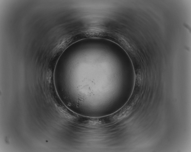 X0000097600458200802291247