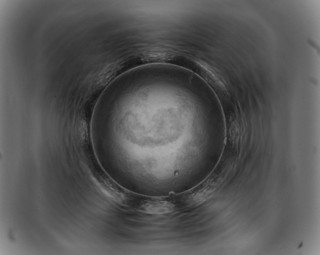 X0000097600459200802291247