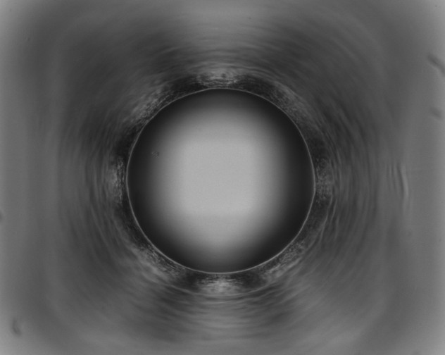 X0000097600460200802291247
