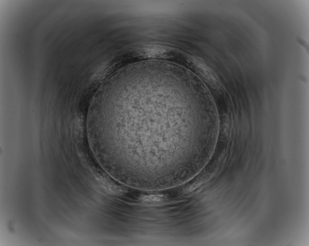 X0000097600461200802291247