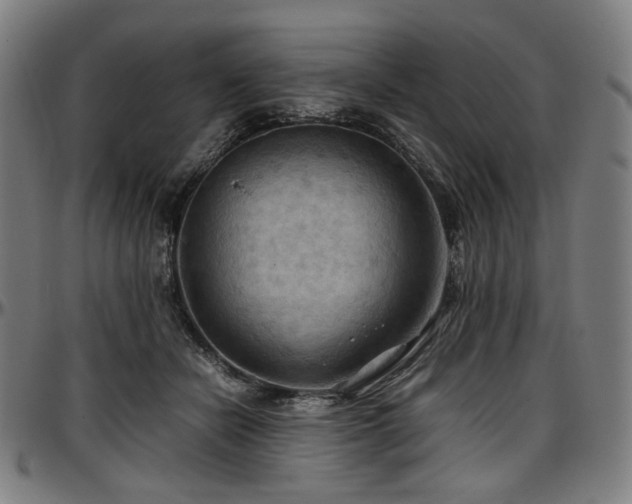 X0000097600462200802291247