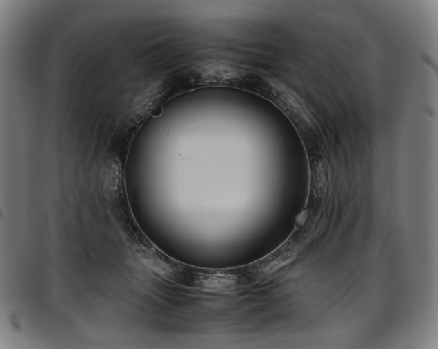 X0000097600463200802291247