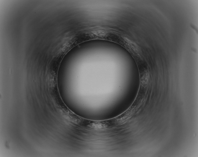 X0000097600464200802291247