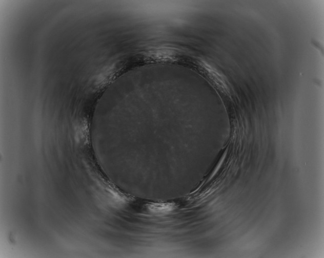 X0000097600465200802291247