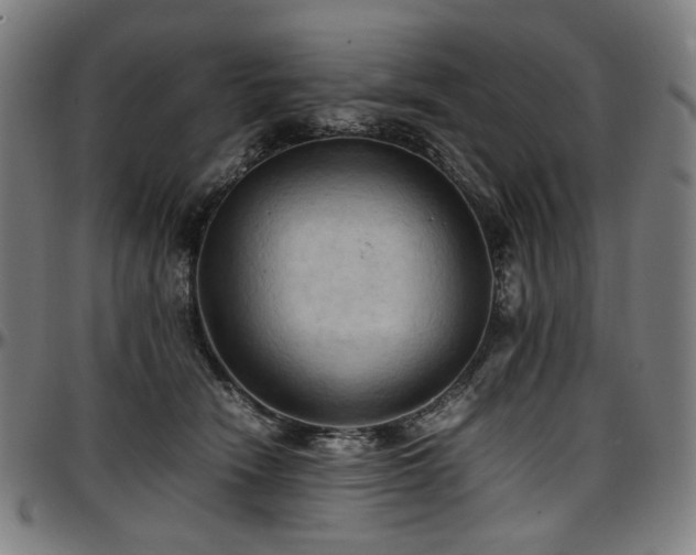 X0000097600466200802291247