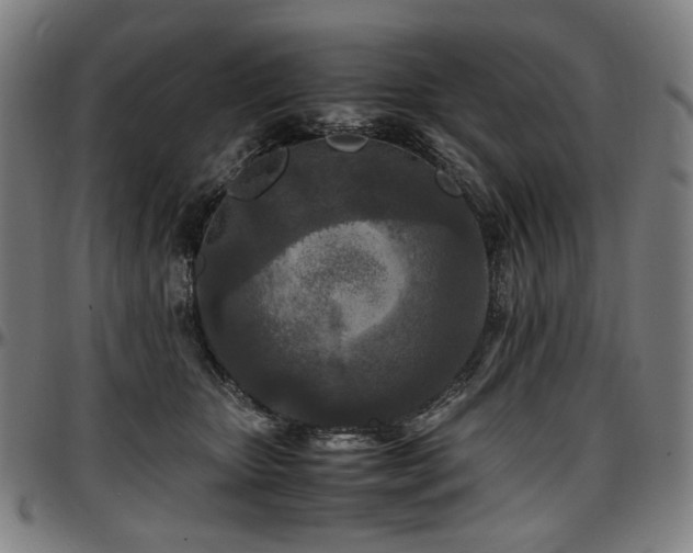 X0000097600467200802291247