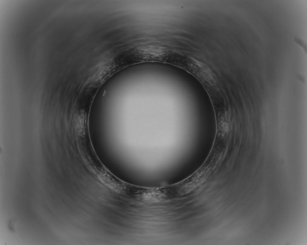 X0000097600468200802291247