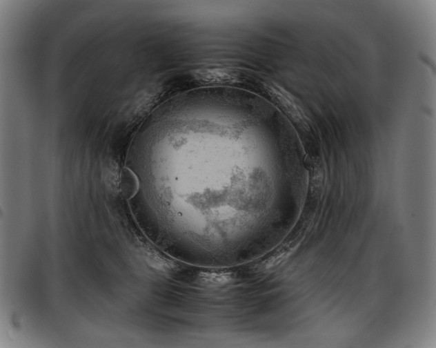 X0000097600469200802291247