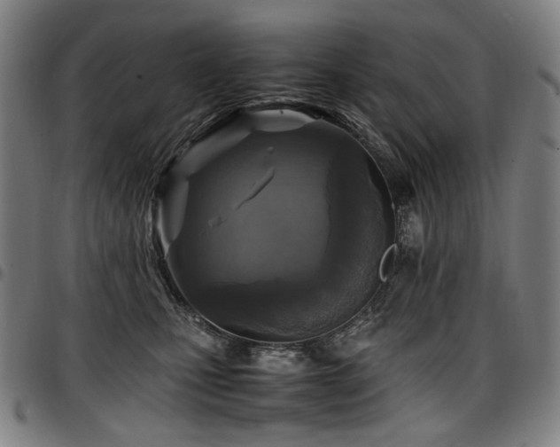 X0000097600471200802291247