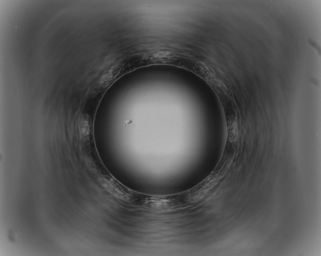 X0000097600472200802291247