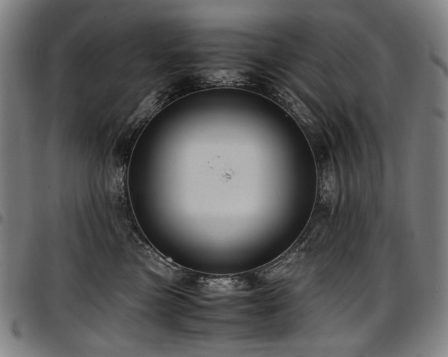 X0000097600473200802291248