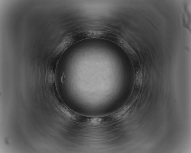X0000097600474200802291248