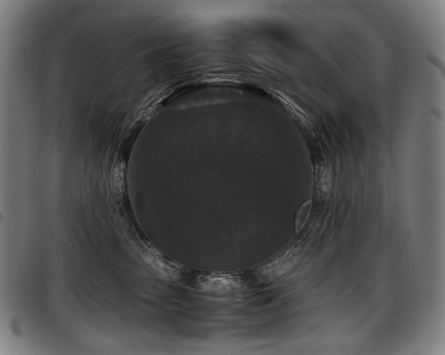 X0000097600475200802291248