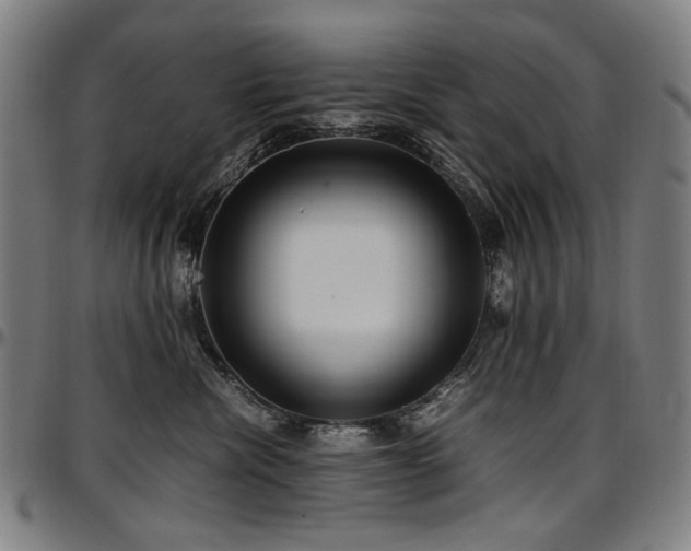 X0000097600476200802291248