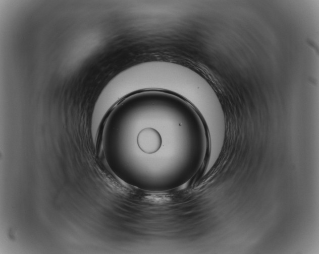 X0000097600477200802291248