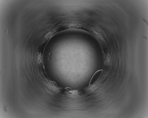 X0000097600478200802291248
