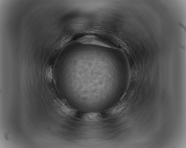 X0000097600479200802291248
