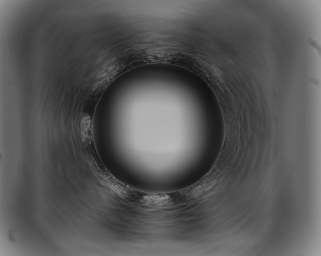 X0000097600480200802291248