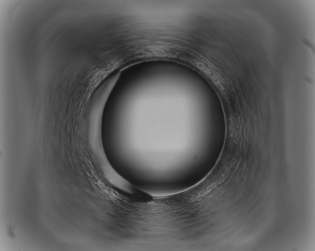 X0000097600481200802291247