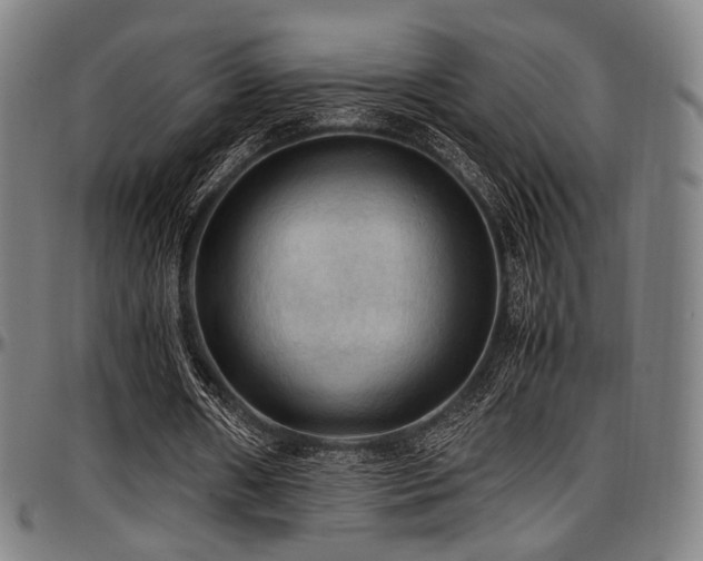 X0000097600482200802291247