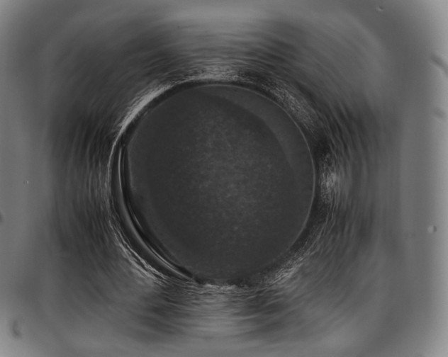 X0000097600484200802291247