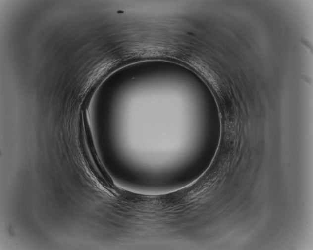 X0000097600485200802291247