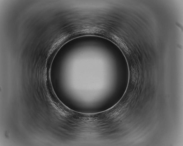 X0000097600486200802291247