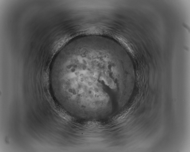 X0000097600487200802291247