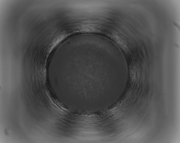 X0000097600488200802291247
