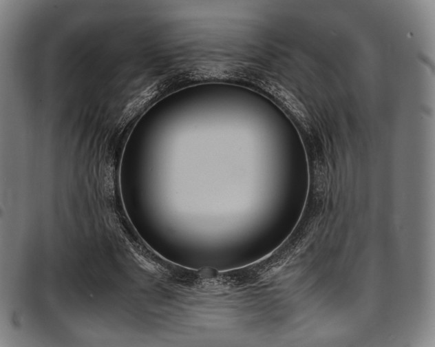 X0000097600489200802291247