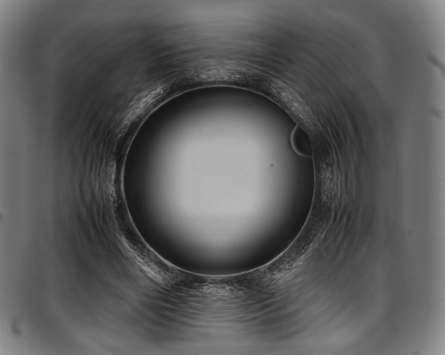X0000097600490200802291247