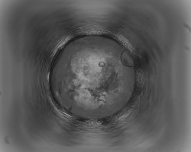 X0000097600491200802291247