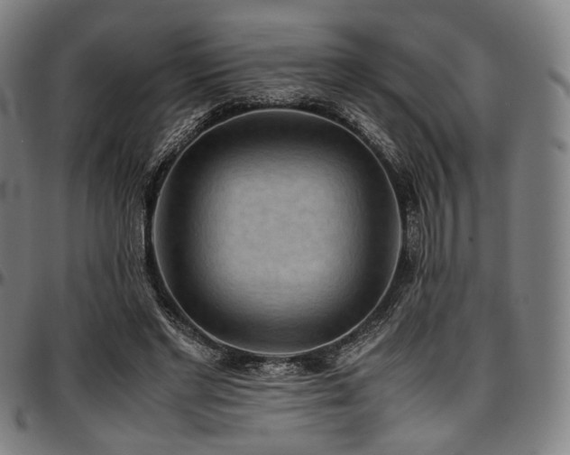 X0000097600493200802291246