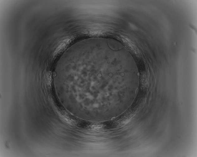 X0000097600495200802291246