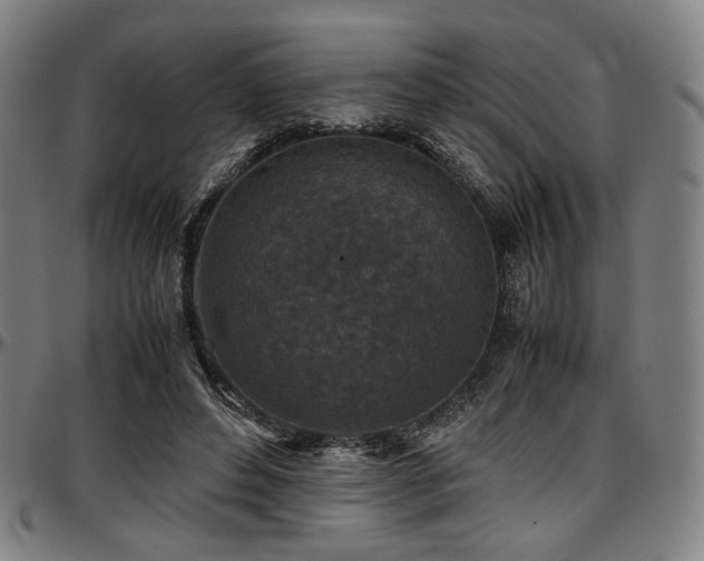 X0000097600496200802291246