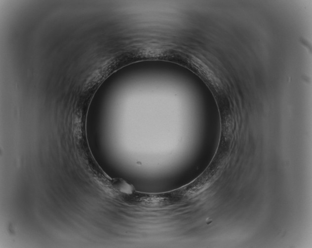 X0000097600497200802291246